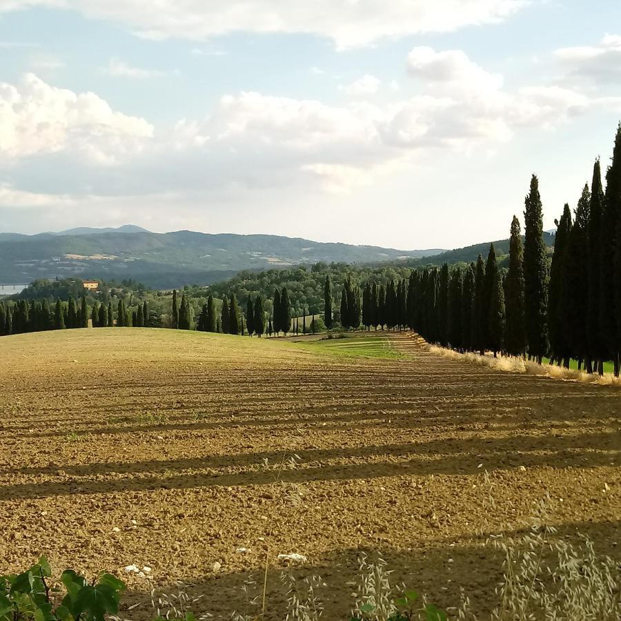 Il Marrondindo Bed & Breakfast Galliano Exterior photo